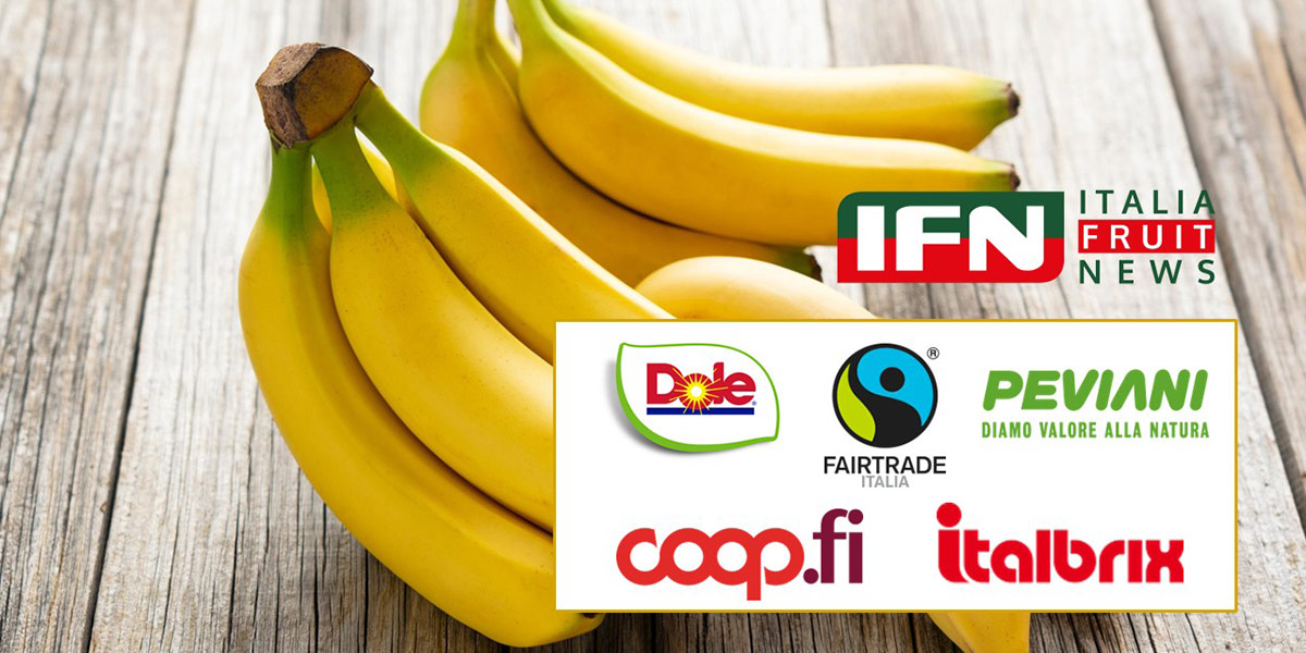 La banana resiste alla crisi: aumentano i consumi e i prezzi tengono